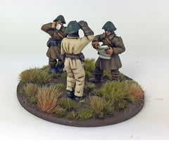Danish Battalion Command  (DAN020)