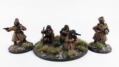 Hungarian Command Winter (HUN102)
